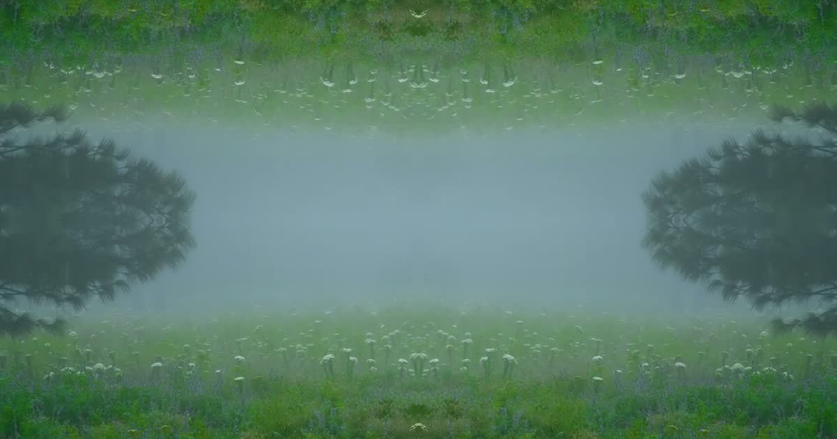 雾湖 Misty Lake