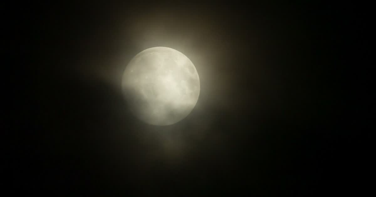 月夜 Moonlit