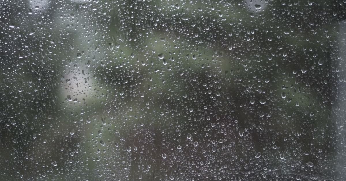 雨打窗 Rain on Window
