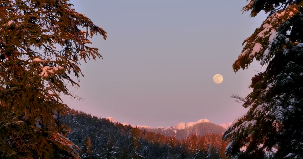 雪月 Winter Moon